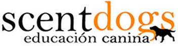 imagen_2023-06-02_121842994